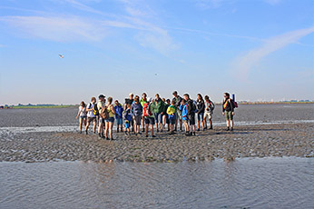 Ein Bild einer Wattführung der Wattwandererfamilie Eilers Wattführung Wattwanderung Eilers